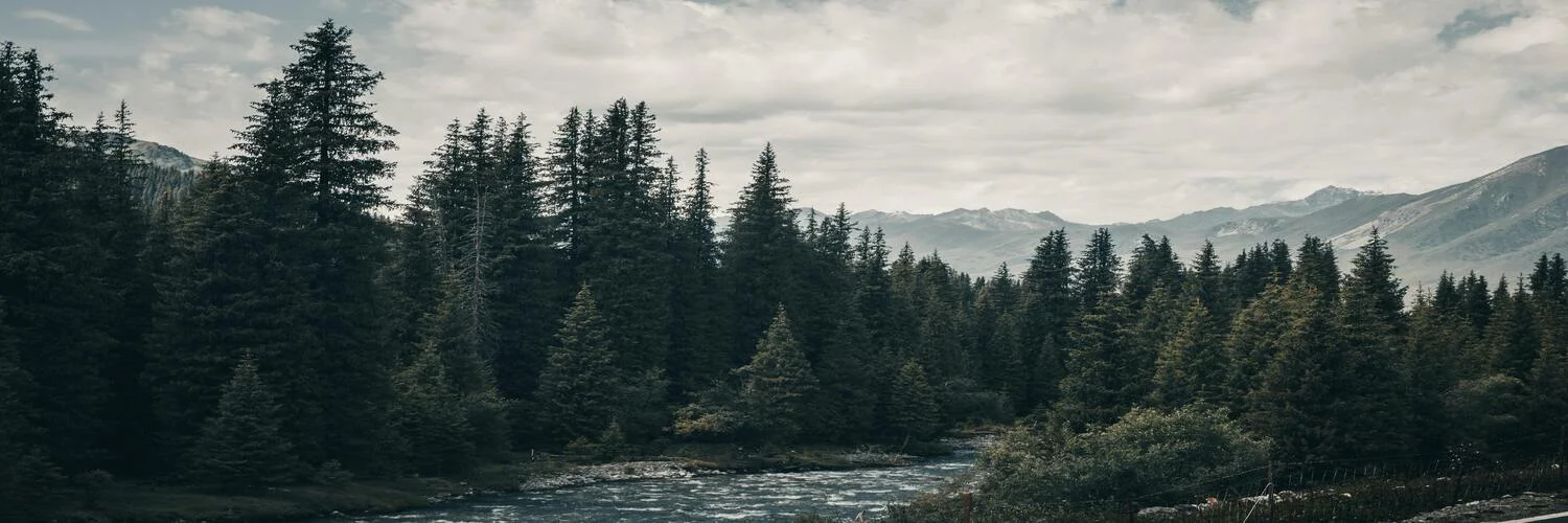 package hotel listing